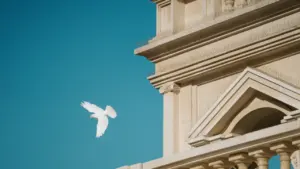 Biały gołąb szybujący na tle jasnego, błękitnego nieba symbolizujący pokój na świecie.