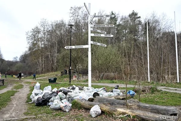 Gdynia rusza nad wodę. Dwa dni wspólnego sprzątania