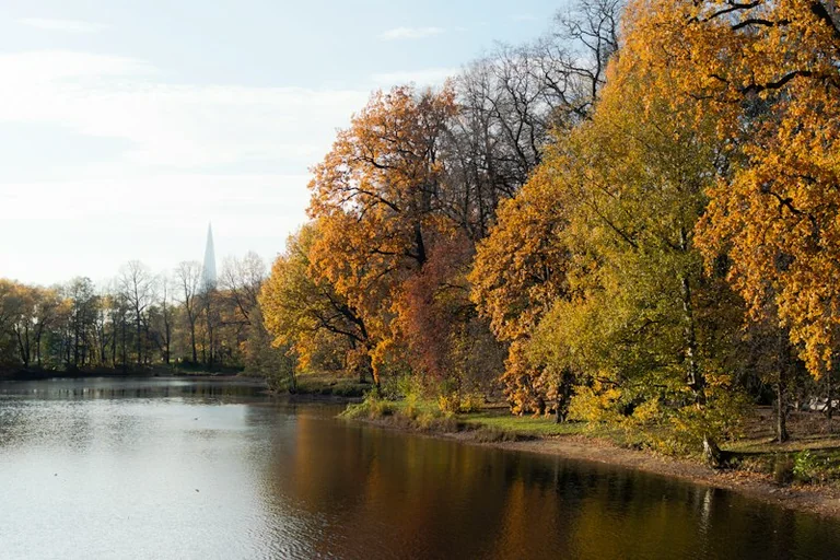 Jesienią pragnienie może mylić. Jak pić regularnie?